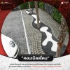 บล็อกปูพื้นคอบเบิลสโตนสำหรับตกแต่งสวน - โรงงานผลิตแผ่นบล็อกปูพื้น ส.อรุณคอนกรีต ปทุมธานี บล็อกปูพื้นคอบเบิลสโตนสำหรับตกแต่งสวน - โรงงานผลิตแผ่นบล็อกปูพื้น ส.อรุณคอนกรีต ปทุมธานี